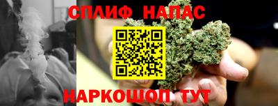 каннабис Будённовск