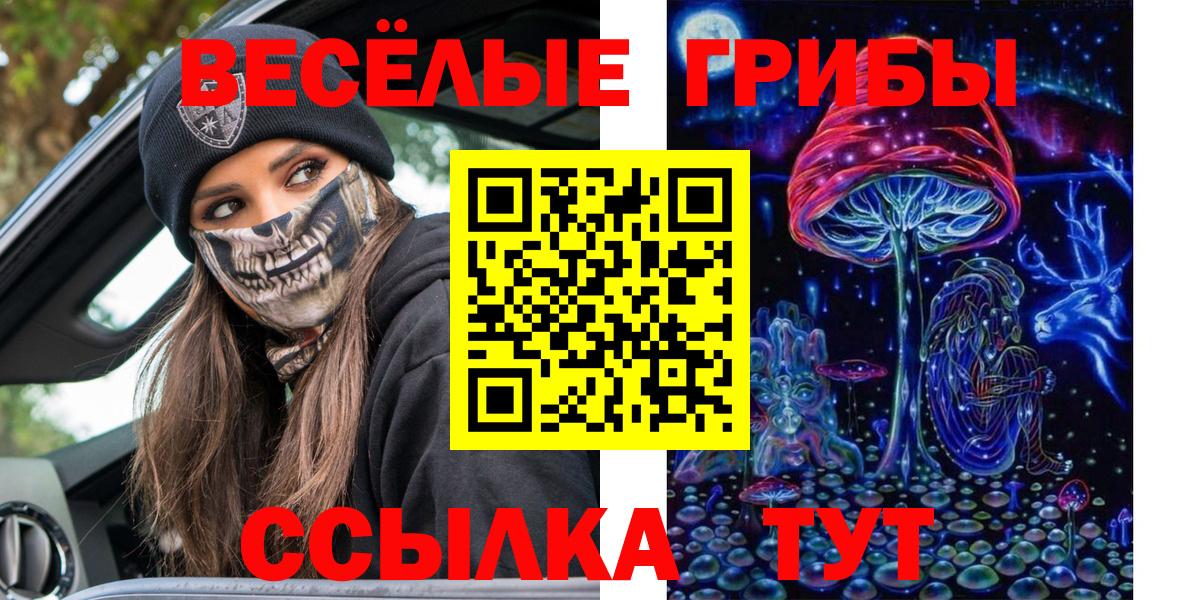 Галлюциногенные грибы Psilocybine cubensis Троицк